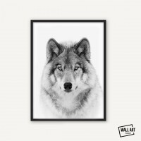 Wolf Kurt Çerçeve Pano Poster